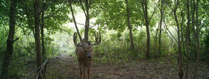 2023 Minnesota Recap