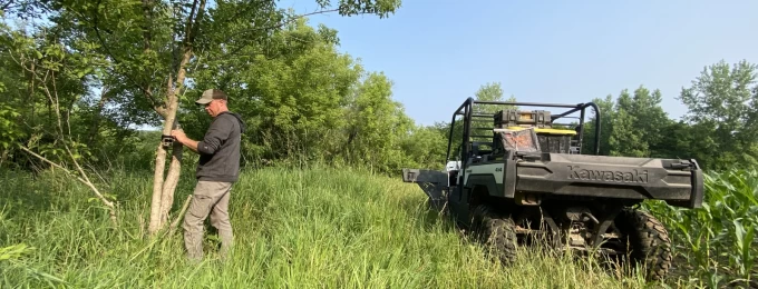 June and July is camera hanging time at BCO